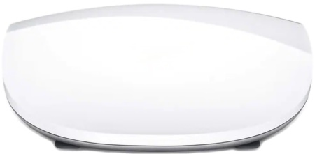 Купить Magic Mouse