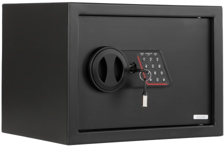 Купить CARCAM Electronic Safe Box (XM25ELB)