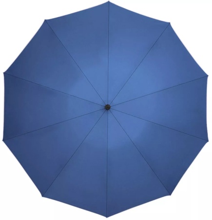 Купить Xiaomi Zuodu Automatic Umbrella Led Blue