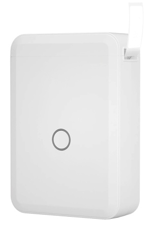 Купить NIIMBOT D110 White__