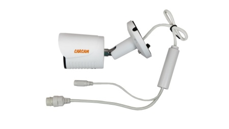 Купить Муляж CARCAM CAM-1891P