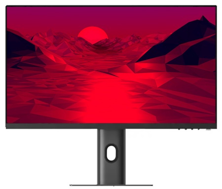 Купить Xiaomi Mi Fast LCD 24,5" 240Hz (XMMNT245HF2)