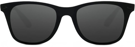 Купить Xiaomi Turok Steinhardt Hipster Traveler Black (STR004-0120)