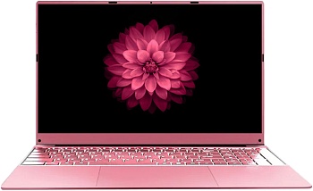 Купить 15.6" Notebook Intel N5095 2.0 GHz, RAM 16GB, SSD 512GB, Intel UHD Graphics, WiFi, Bluetooth, Pink