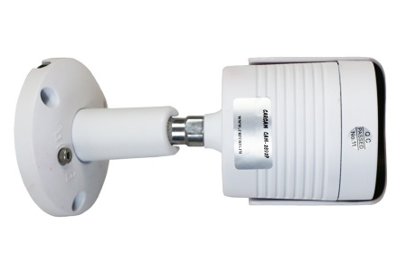 Купить Муляж CARCAM CAM-2892P