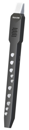 Купить Xiaomi Electronic Wind Instrument DC02Pro