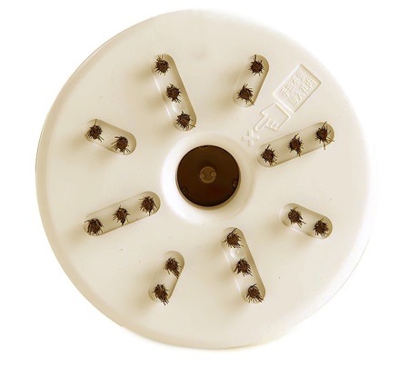 Купить Xiaomi Deli 18880 Desktop Cleaner Beige