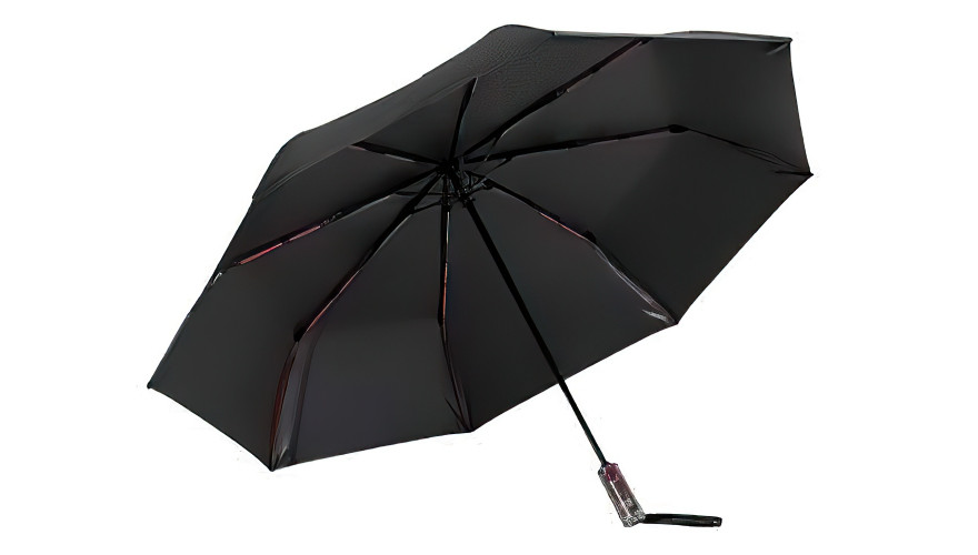 Купить Xiaomi Mijia Automatic Umbrella WD1