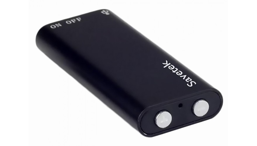Купить Savetek GS-R01S 32GB