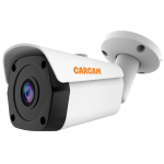 Сетевая IP-камера видеонаблюдения CARCAM CAM-2897PSD
