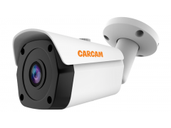 Муляж CARCAM CAM-2897PSD