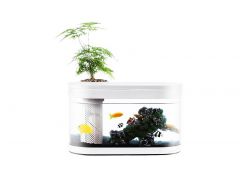 Купить Xiaomi Descriptive Geometry Amphibious Ecological View Fish Tank (HF-JHYG 001)  Xiaomi