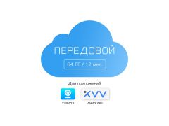 Тариф ПЕРЕДОВОЙ - 64Gb 12 мес. V380Pro / Xiaovv App